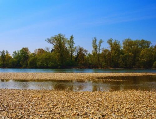 Il fascino ininterrotto del Ticino: il cuore fluviale di Pavia